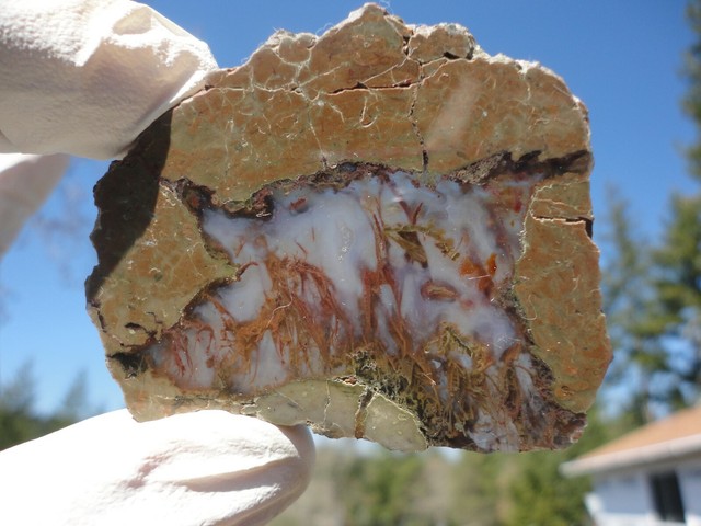 Priday Moss Agate Polished Slab Red And Green Moss | eBay