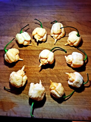 Habanero Vs Jalapeño: peperoncini super piccanti a confronto Habanero Vs Jalapeño: peperoncini super piccanti a confronto