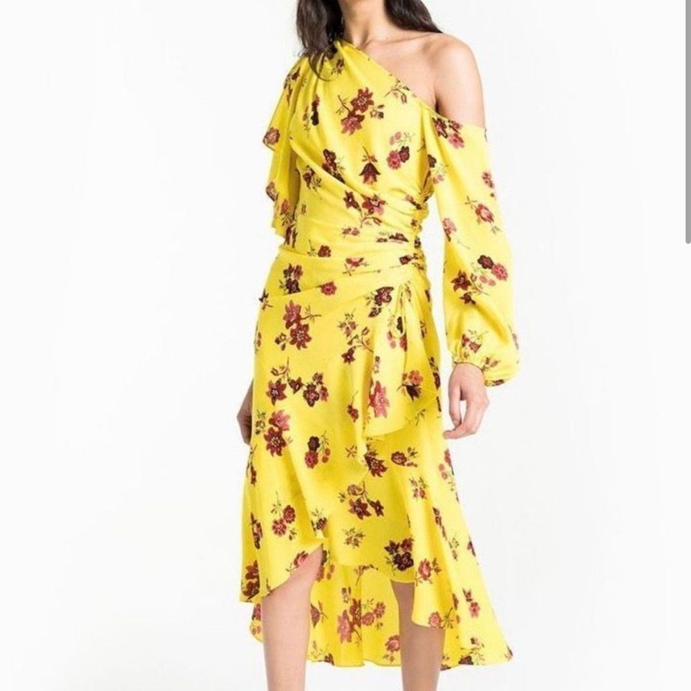 A.L.C. Florence 100% Silk Floral Asymmetrical Maxi Dress - 2 | eBay A.L.C. Florence 100% Silk Floral Asymmetrical Maxi Dress - 2 | eBay