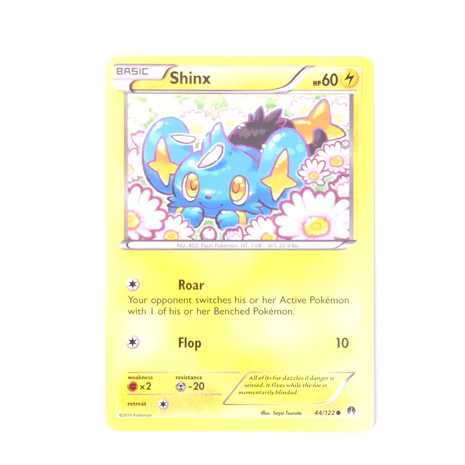 Shinx 44/122 Pokemon XY - BREAKpoint Common NM