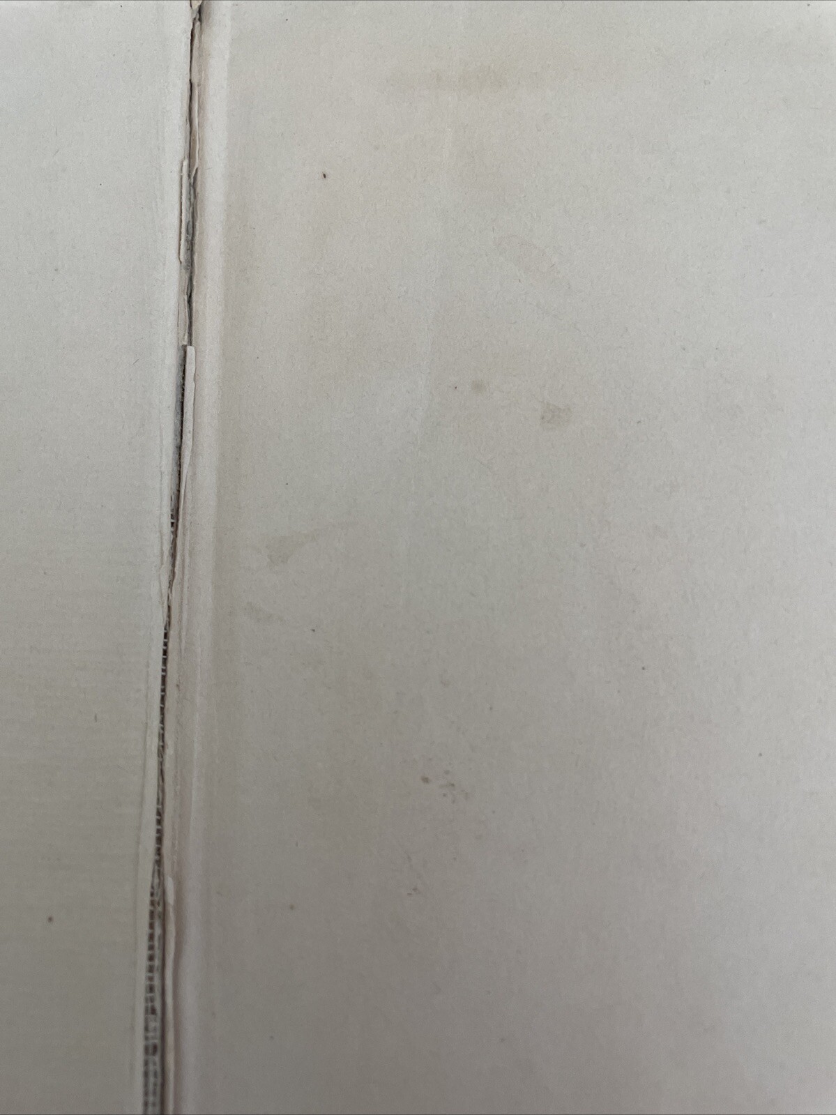 Picture 4 of 12