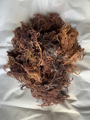 Bulk Sea Moss - Full Spectrum - Business Package 20# - ARE YOU READY TO GET  $$$