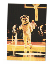 Georgetown University Jack the Bulldog the Hoya's Mascot Vintage postcard unp