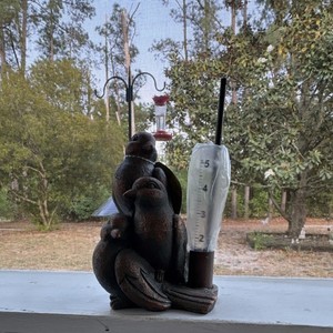 Bird Rain Gauge Glass Metal Resin Brown Patina Animal Garden Porch Sculpture