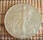 2004 American Silver Eagle 1 oz .999 Fine Silver Coin