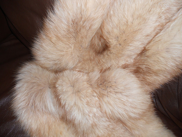 ✨ Estole en véritable fourrure – pièce vintage élégante