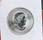 2018 1/2 Oz Silver Polar Bear Round .9999 Fine Silver Canada Wildlife Series