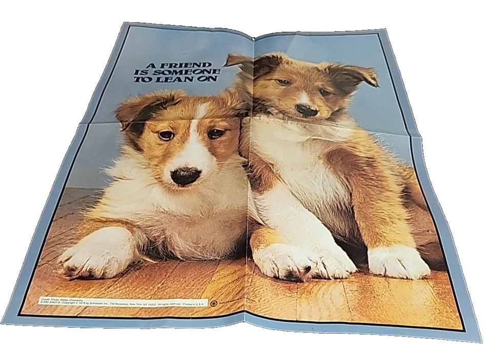 Vintage 70s 1979 Scholastic Puppy Dogs Poster Wall Art 18 x 23.5" Blue Border - Image 2 of 4