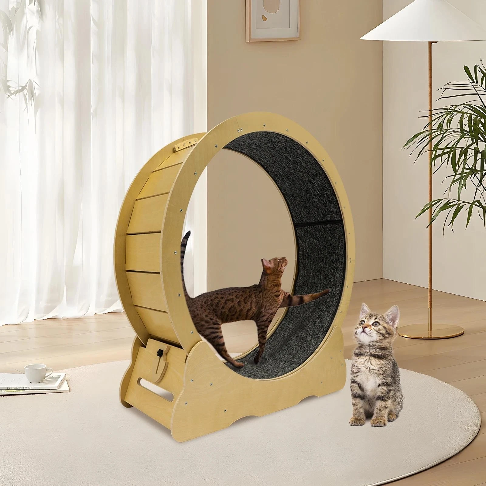 42 Inch Large Cat Treadmill, Cat Treadmill for Indoor Cats, Cat Exerciser Wheel