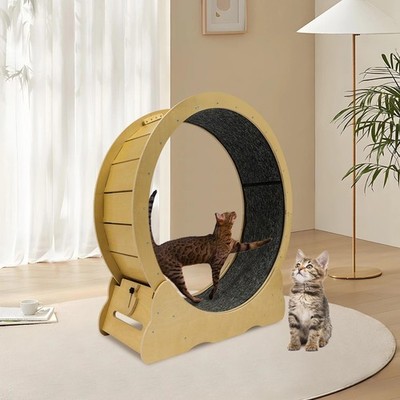 42 Zoll großes Katzenlaufband, Katzenlaufband für Indoor Katzen, Katzentrainer Rad