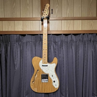 Bacchus BTH-550 Thinline Telecaster, Hollow Body, Single Coil, New