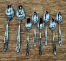 Ekco Eterna Country Garden Mixed Lot 8; 2 Serving Spoon &  6 GrapeFruit Spoons