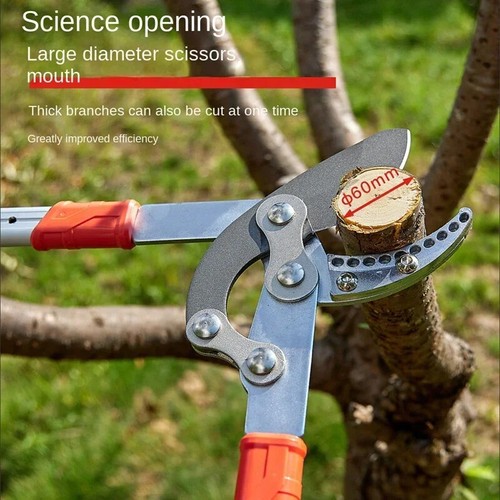 Potatura forti cesoie albero da frutto cesoie potatura rami albero forbici da giardinaggio - Foto 4 di 15