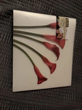 Scotch Premium Pocket Photo Album Holds 160 4 X 6 Photos