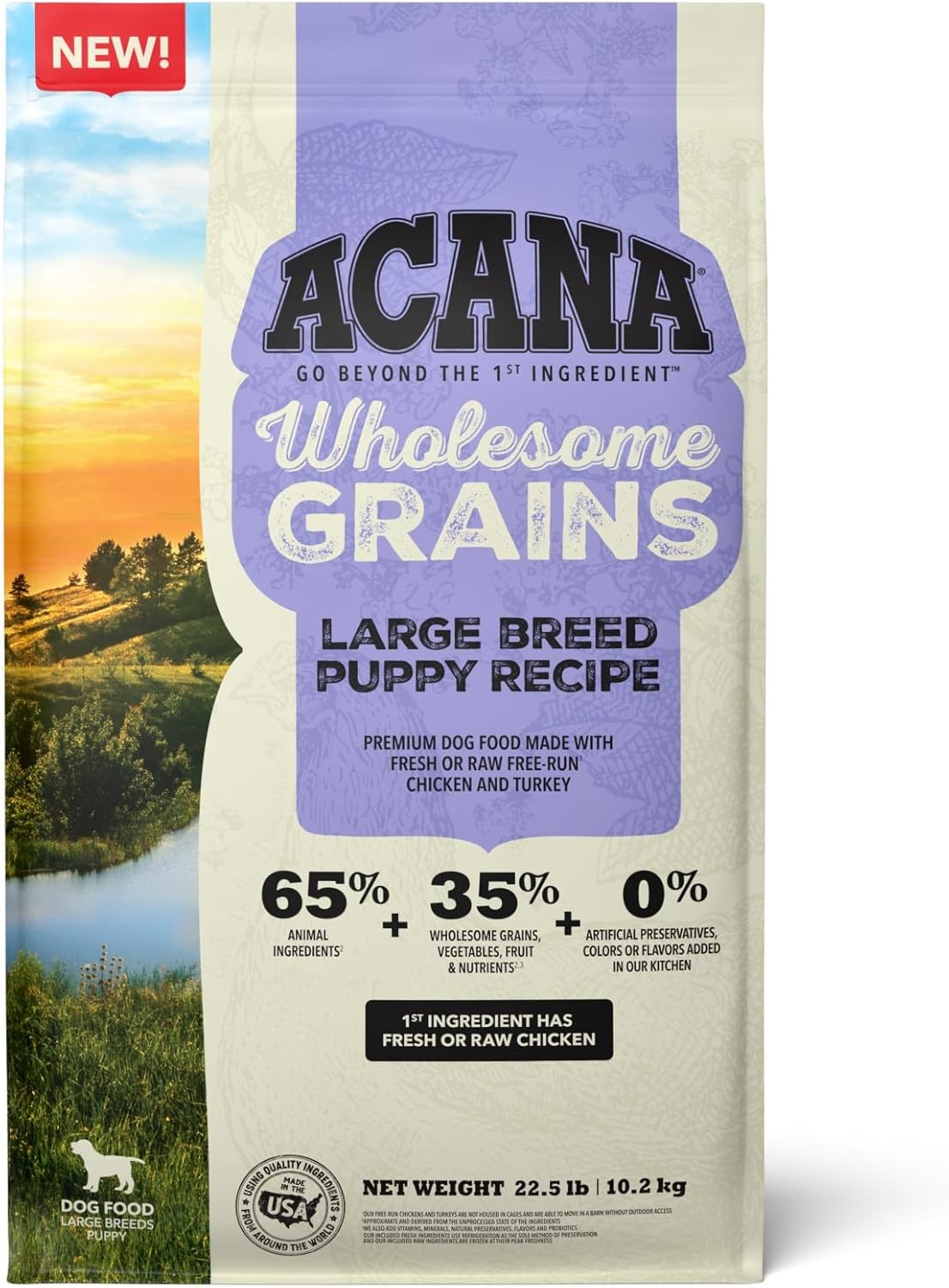 Large Breed Puppy Recipe 22.5lb Bag