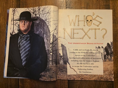 WWF Magazine MAY 1991 THE UNDERTAKER B - Picture 10 of 17