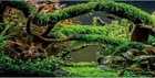 48x24 inches Aquarium Background Branches Terrarium Background Aquatic Plant Riv