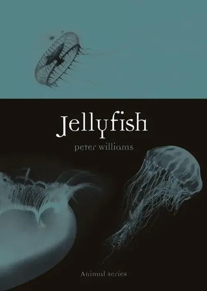 Jellyfish | Peter Williams | Englisch | Taschenbuch | Einband - Flex.(Paperback)-image