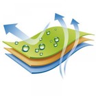 Bild 10 von 12