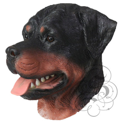 rottweiler dressed up