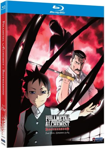 Fullmetal Alchemist Season 1+2 Brotherhood (64 Episodes DVD Anime -US  Seller New