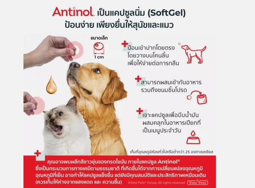 Supplement Dog Pet Pain Relief bones Anti Inflammatory Antinol EAB277 60Capsules - Picture 8 of 8