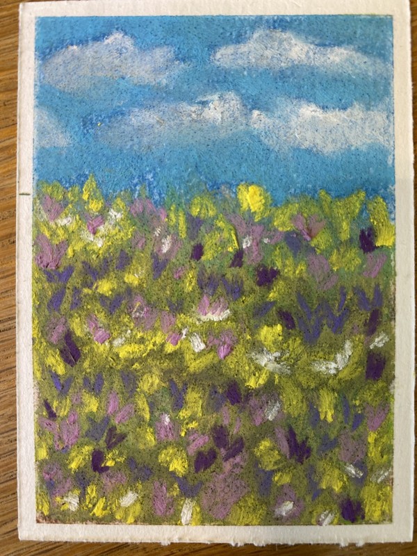 Spring time flowers ACEO soft pastel artist card 