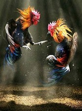 Two Roosters Fighting Chicken Coop Tin Metal Signs Home D cor Wall Art 8x12