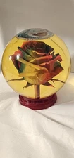Forever ROSE Glass Ball Water Dome Globe Large Flower Pink, Green & Yellow