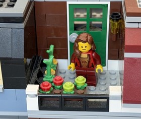 LEGO Creator Expert: Pet Shop 10218 100% Complete Minifigures & Instructions