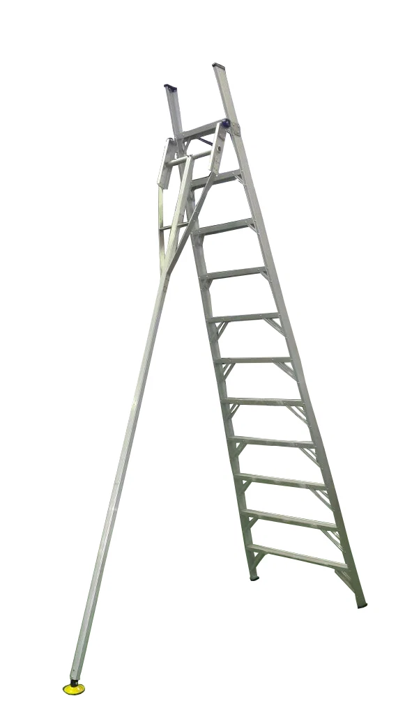 INDALEX Pro Series Aluminium Orchard Ladder 10ft 3.0m