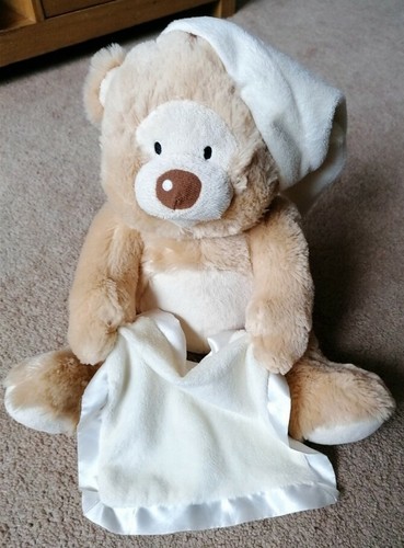 morrisons large teddy bear