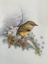 Chinese 100 real natural silk thread,su hand embroidery kits:birds flower 16"