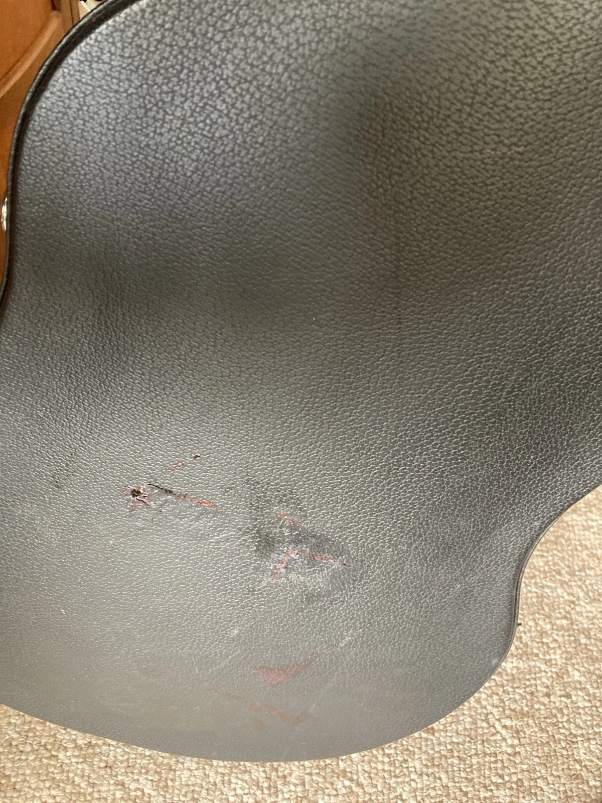 Picture 5 of 17