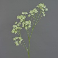 Artplants Deko Zweig Aralia Zweig Yared Mit BlüTen, Creme, 85Cm
