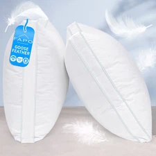 Luxury Goose Down Pillows Queen Size Set of 2, 100% Cotton Gusseted Cover