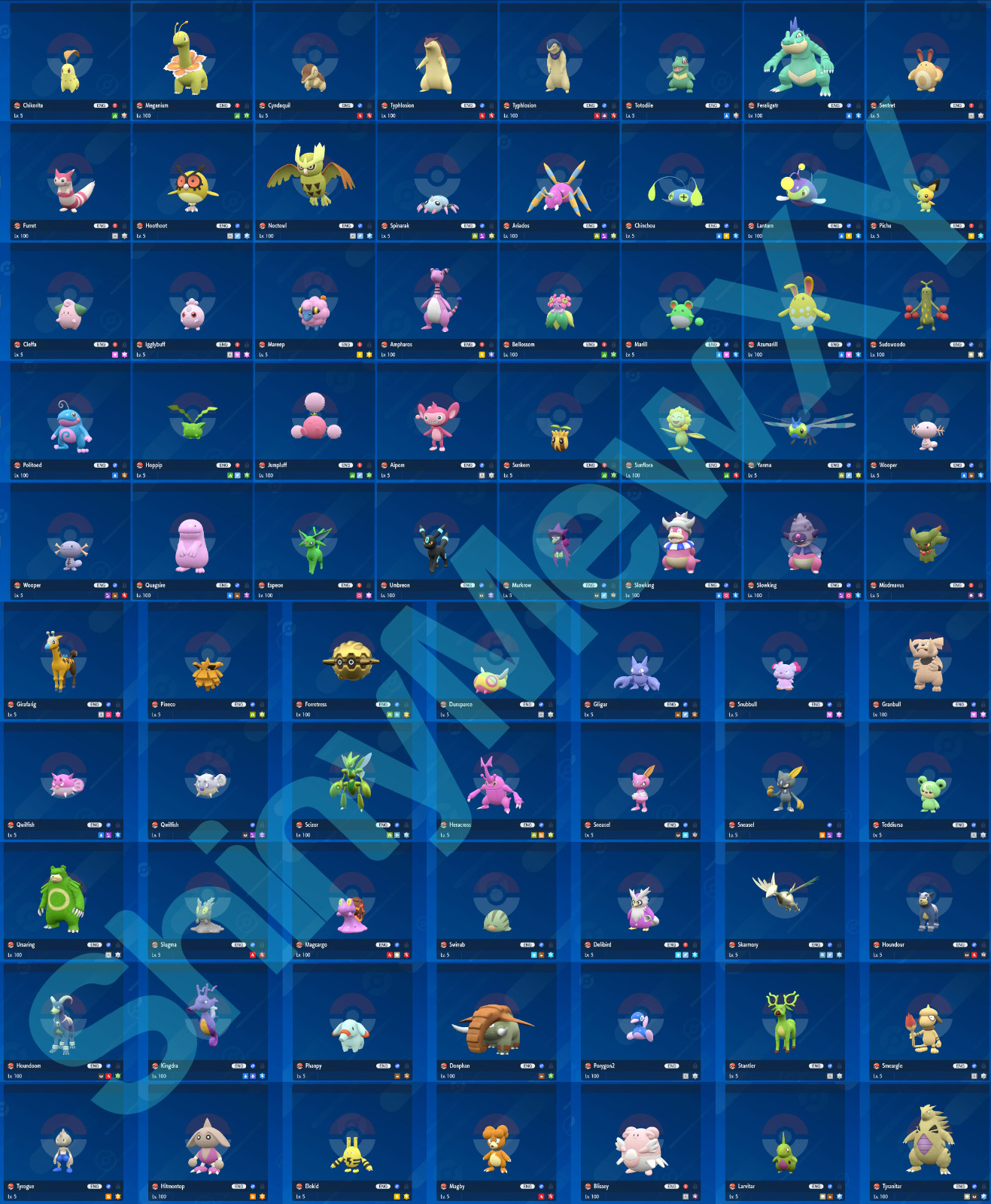 Cualquiera/Cada Brillante 6IV Ribbon Master XXXL Segunda Generación Pokemon Escarlata/Violeta INICIO
