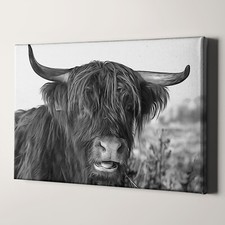 Highland Cattle Canvas Wall Art Print  Cows and Yaks Home Decor and Gifts