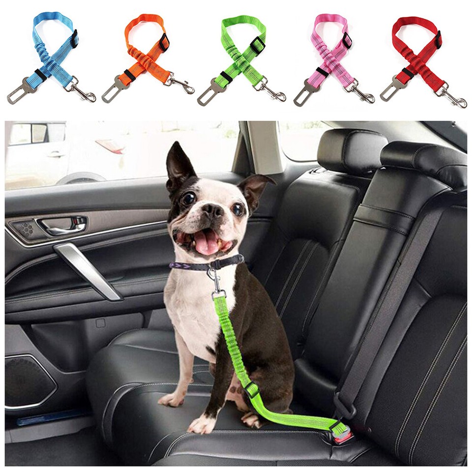 Seatbelt Harness For Crash Tested Dog Harness 2017 KONG Ultimate Safety  Tether Dog Seat Belt