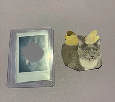 Kep1er Chaehyun Signed Shooting Star Kep1going On Official Undisclosed Polaroid