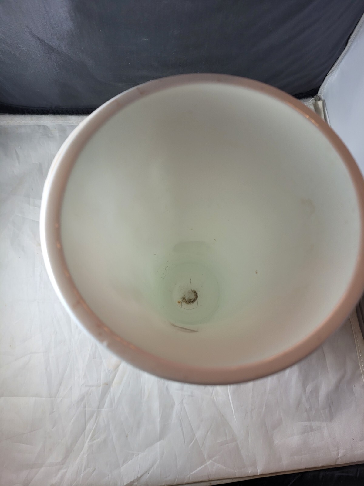 Picture 6 of 7
