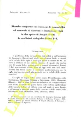 HONSELL Edmondo - TRIPODI Giacomo - Ricerche comparate sui fenomeni di permeabi