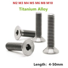 TA2 Titanium Bolt Countersunk Hex Flat Pan Head Bolt Screw M2 M3 M4 M5 M6 M8 M10