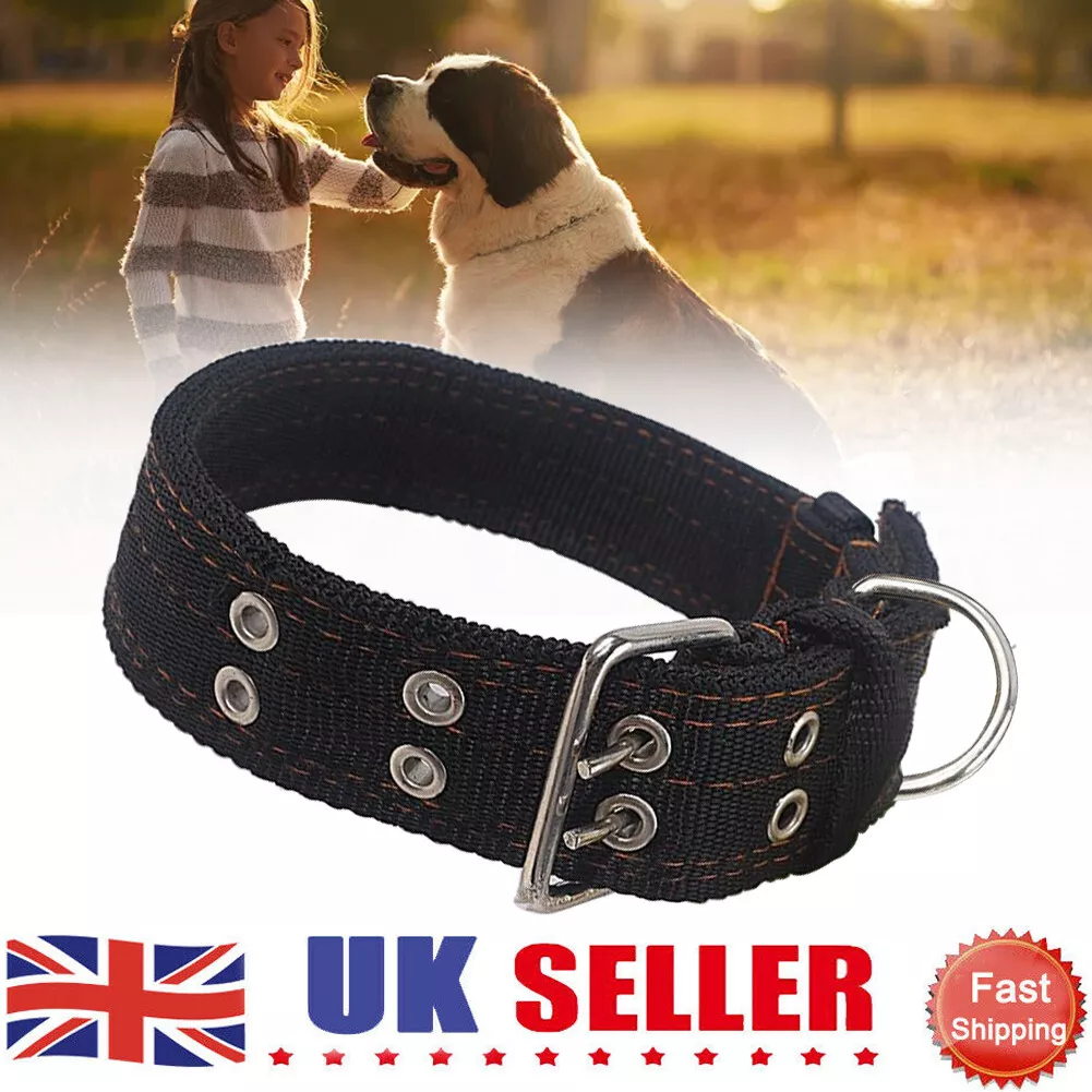 Xl dog collar outlet