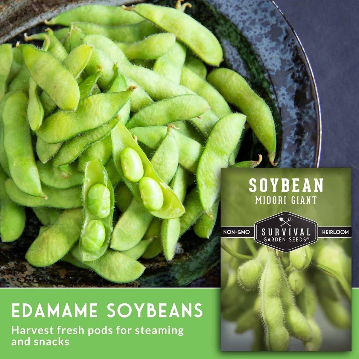 Midori Giant Non-GMO Soybean Seeds - Grow Edamame & Healthy