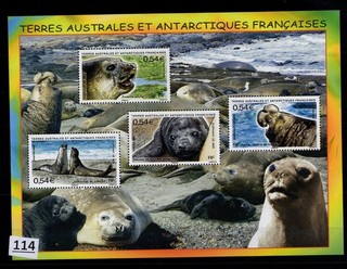 TAAF 2008 MNH MARINE LIFE SEALS SEA LIONS