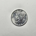 1923- P  $1 Peace Dollar  {NO RESERVE]