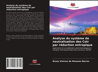 Bruno ViníCius De Menezes Barros | Analyse Du SystèMe De Neutralisation Des...