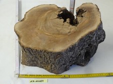 Olive Wurzelholz Drechselholz Intarsien Terrarium Schalen Klotz Brett Pfeifenbau