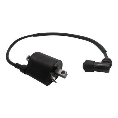 For Linhai 260 300 400 500 520 550 EFI UTV ATV 22012 Ignition Coil US